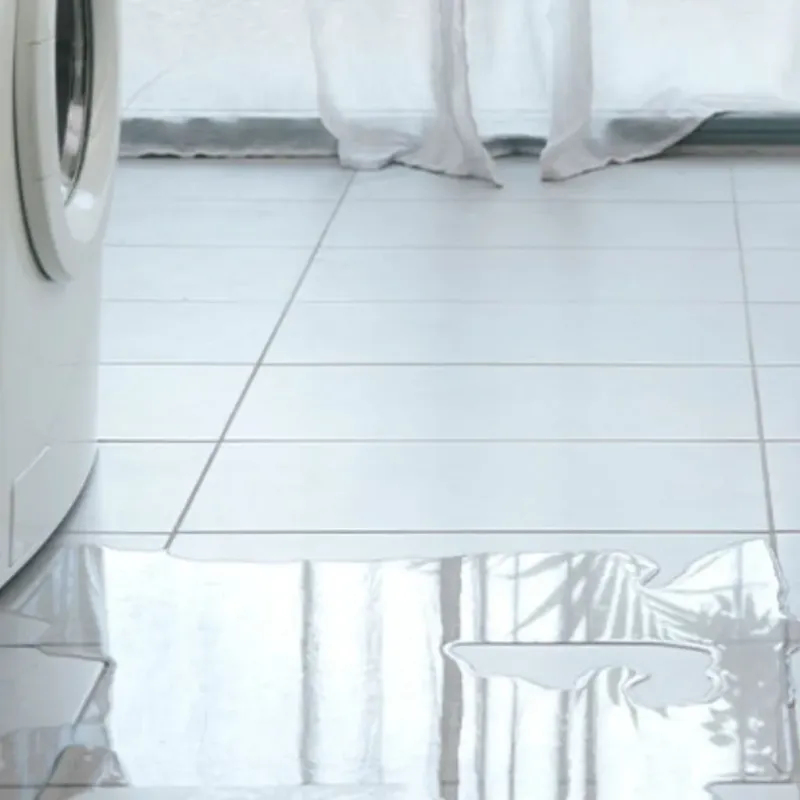 Appliance Leak Cleanup in East Peoria, IL