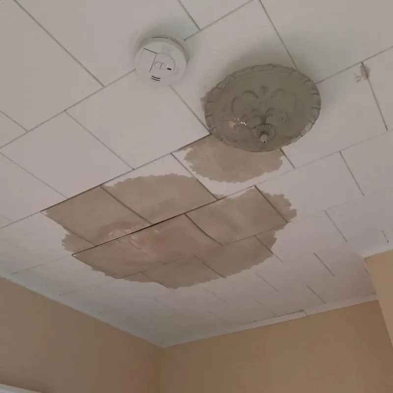 Ceiling Water Damage Repair in East Peoria, IL
