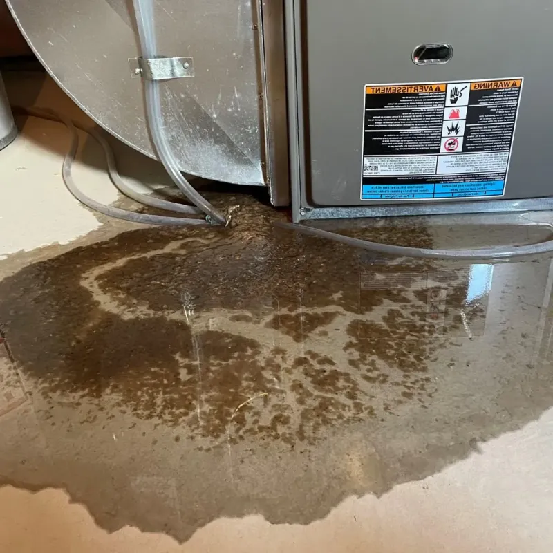 Pipe Burst and Leak Restoration in East Peoria, IL
